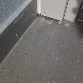 Kapı Kesimi Ve Montajındaki Hatalı İşçilik İçin Değişim Talebi