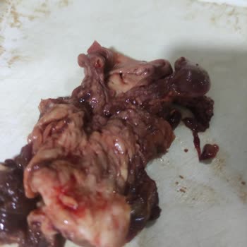 Keçiören Fix Gros Şikayeti