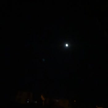 Levi’s Pantolonunda Hızlı Renk Solması Ve Beden Bozulması Mağaza Çözüm Sunmadı