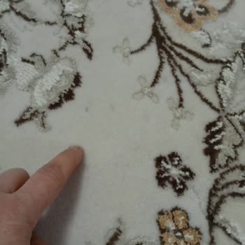 Kirli Halı Teslimi Ve 1100 TL Ücret İadesi Reddi