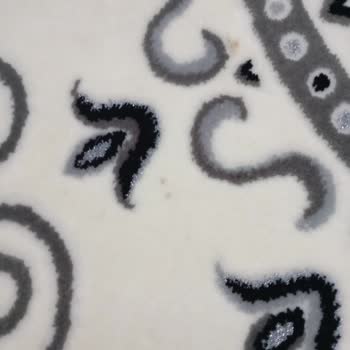 Kirli Halı Teslimi Ve 1100 TL Ücret İadesi Reddi