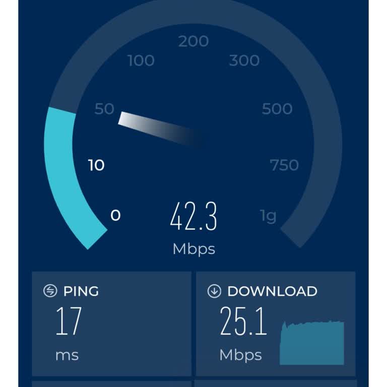 Taahhüt Edilen 100 Mbps Hızının Sürekli Düşmesi