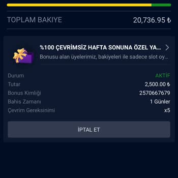 Hesabım Kapatıldı Ve 20.000 TL Kazancım Silindi