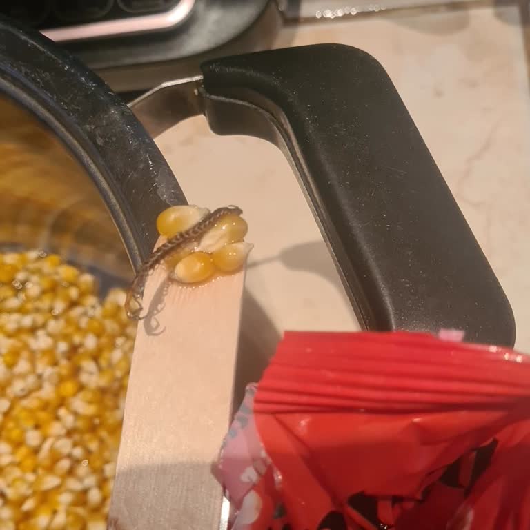 BİM Simbat Mısırda Çiyan Bulundu