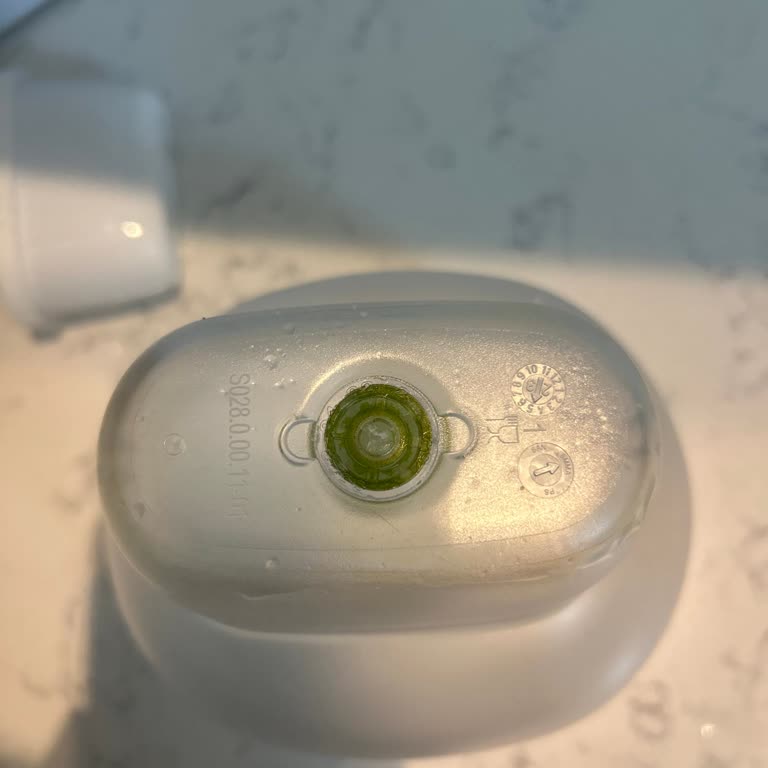 Brita Aluna Sürahi Filtre Yosunlaşması Ve Ürün Değişimi Talebi