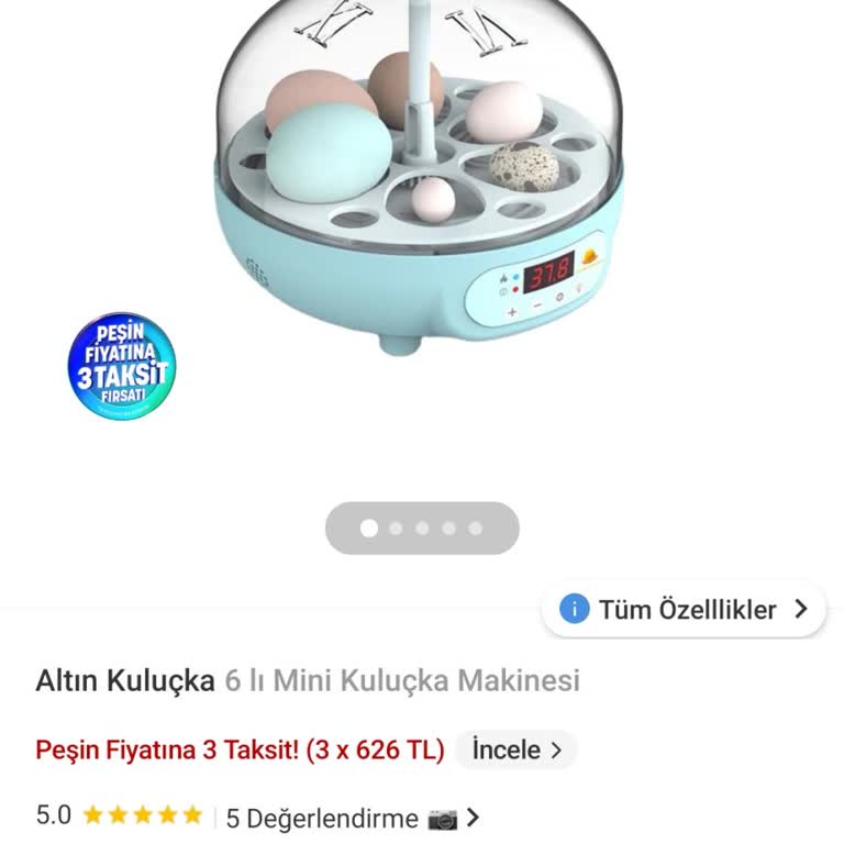 Trendyol Altın Kuluçka Şikayeti