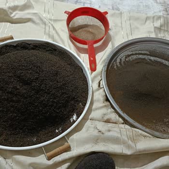 Çaykur Tiryaki Çayında Toz Ve Yabancı Madde Sorunu