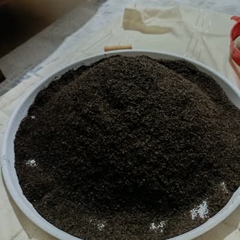 Çaykur Tiryaki Çayında Toz Ve Yabancı Madde Sorunu