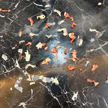 City Gross Hijyen Açısından Son Derece Rahatsız Edici