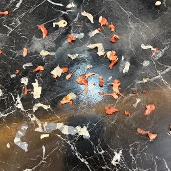 City Gross Hijyen Açısından Son Derece Rahatsız Edici