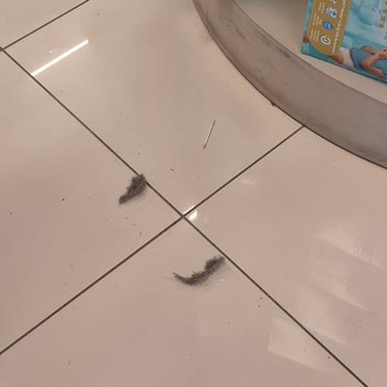 Özlüce E-Bebek Mağazasında Raf Araları Tozlu Ve Kirli Hijyen Sorunu