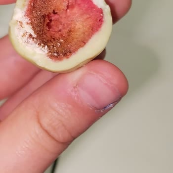 Migros'tan Alınan Patiswiss Limonlu Çikolatanın Küflü Ve Bozuk Olması