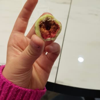 Migros'tan Alınan Patiswiss Limonlu Çikolatanın Küflü Ve Bozuk Olması