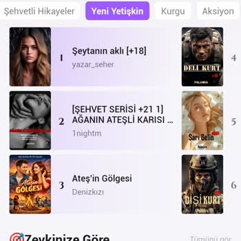 Erdemli İçerik Sözünü İhlal Eden Dreame Platformu, Kitaplarımın Haklarını İade Etmeyi Talep Ediyorum