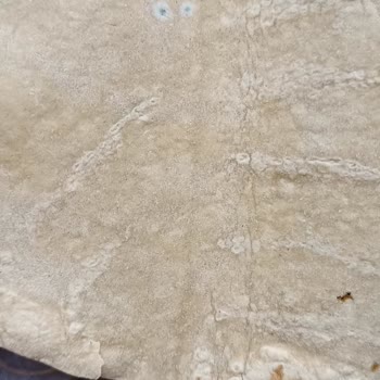 Tandır Lavaş Paketi İçinde Küf Görülmesi Sağlık Endişesi Yaratıyor