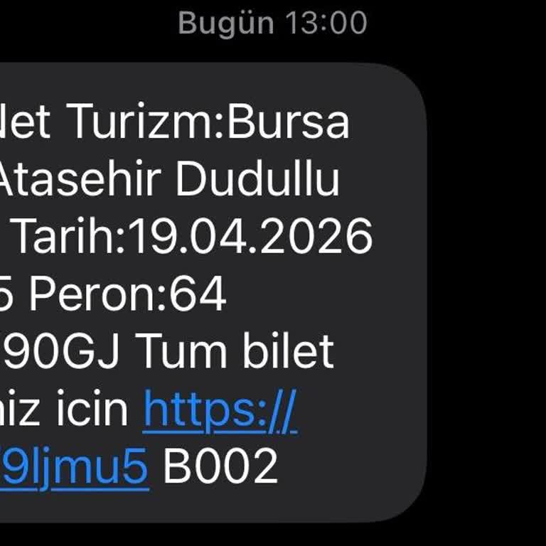 Kadın Yolcunun Güvenliği Aşırı Gecikme, Fazla Yolcu Ve Sigara İçen Şoför Nedeniyle Sarsıldı