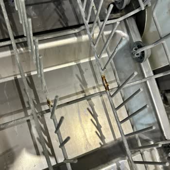 Franke Bulaşık Makinesinin Sepetlerindeki Paslanma Ve Küflenme Ücretsiz Değişim Talebi