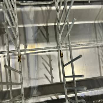 Franke Bulaşık Makinesinin Sepetlerindeki Paslanma Ve Küflenme Ücretsiz Değişim Talebi