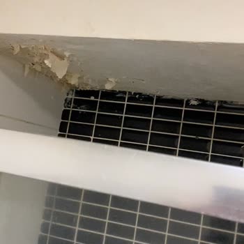 Sağlık Riski Tahtakurusu Ve Hijyen Sorunu Oda Değiştirmeyle Çözülmedi