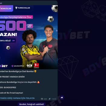 Bonus Kazancım Silindi, Ana Param Çekilemiyor