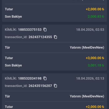 Hilbet Slot Oyunlarında Şeffaflık Eksikliği Ve 20 Bin Tl Kayıp