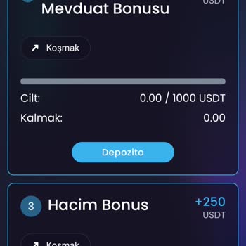 Bitexen Global'de USDT Çekim Hatası Ve Destek Yanıtı Yok