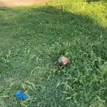 Bayraklı Belediyesi Park Bakımsızlığı Ve İlgisizlik