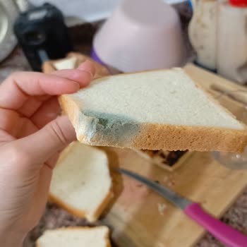 Küflü UNO Büyük Tost Ekmeği Satışı Ve Geri Dönüşsüz İhmal