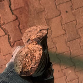 Ali Osman Ulusoy Mola İkramı Sırasında Muavinin Kaba Ve Aşağılayıcı Sözleri