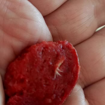 Yensel Et ve Et Ürünleri Sucuktan Tüy Benzeri Maddeler Çıktı