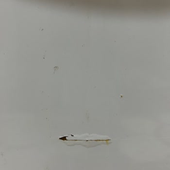 Bosch Çamaşır Makinesinde Bir Yılda Paslanma Ve Değişim Talebinin Reddedilmesi