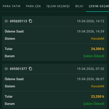 Ödenmiş Görünen 24.300 TL Çekim Hesaba Yatmadı