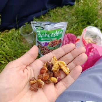 Kavrulmamış Kuruyemişte Nemli Ve Kötü Kokulu Bozulma, Sağlık Riski