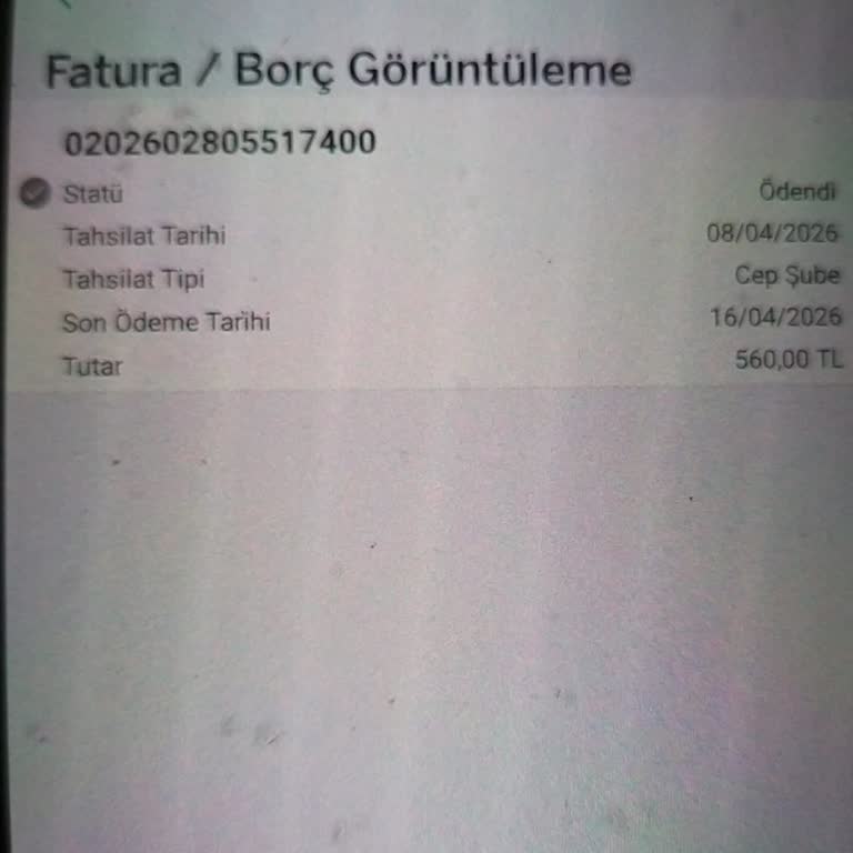 Nakil Sonrası Sürekli İnternet Kesintisi, Acil Çözüm Gerekiyor