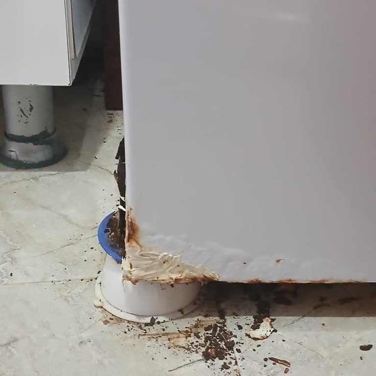 Beko Çamaşır Makinesinin Ayağı 3 Yılda Çürüdü, Kullanılamaz Durumda