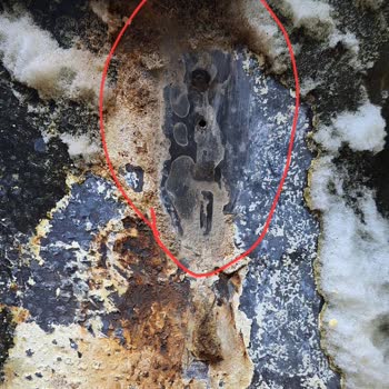 Kısa Sürede Çürüme Ve Su Kaçağı Yaşayan Boyler İçin Garanti Red Ve Ücret İadesi Talebi