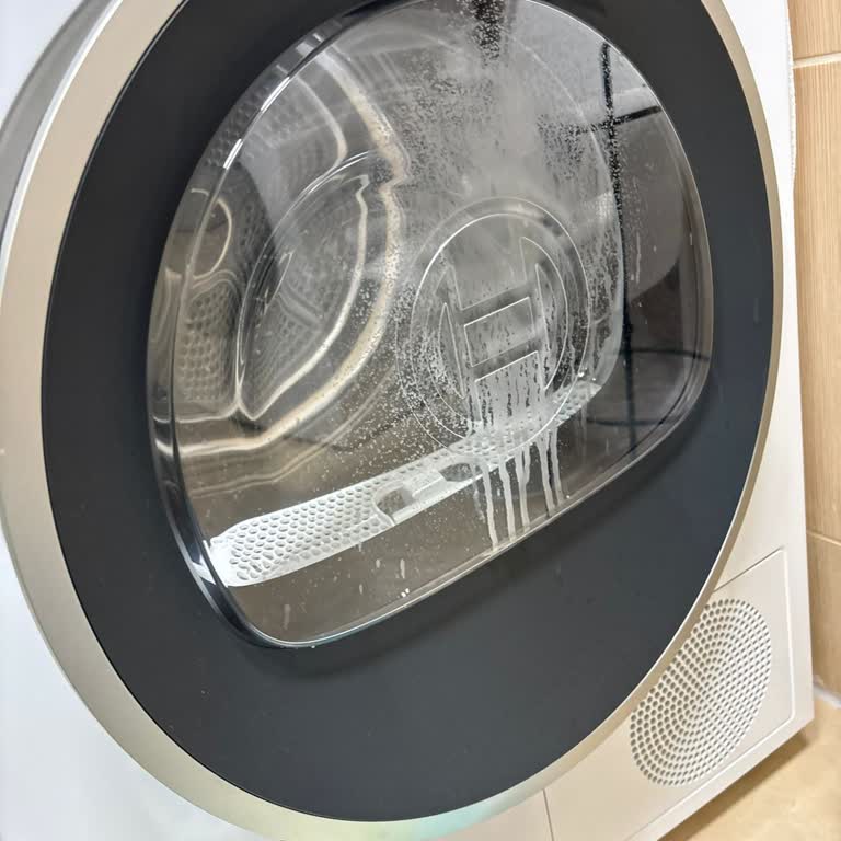 Bosch Kurutma Makinesi Kapak Lekesi İçin Ücretsiz Onarım Talebi