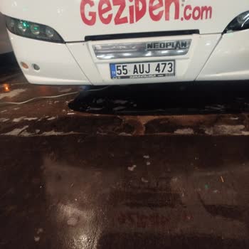 Şato Görülmediği Ve Soğuk Otobüs Tavanı Nedeniyle Hastalanmamız