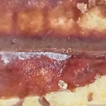 Şok Marketten Alınan Ülker Rulo Dankek Mini Paketi Küflü Ve Bozulmuş