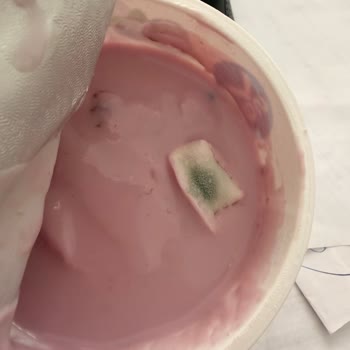 Son Kullanma Tarihi Geçmemiş Yoğurtta Küf Tespiti Ve Şikayetlere Cevap Bulamama