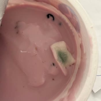 Son Kullanma Tarihi Geçmemiş Yoğurtta Küf Tespiti Ve Şikayetlere Cevap Bulamama