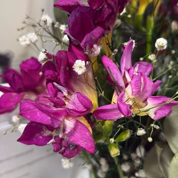 Kurumuş Çiçek Gönderimi Ve İlgisiz Müşteri Desteği