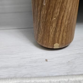 Ergül Mobilya'da Bohem 3'lü Koltuk Takımında Sürekli Gacır Gucur Sesleri Ve Servis Gecikmesi