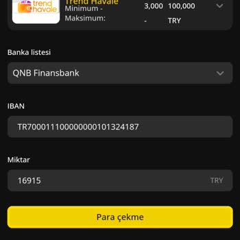 Silinen Para Ve Çekim Engeli Açıklama Ve İade Talebi