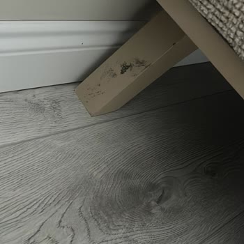 Karacan Avm | Evsenin Mobilya Koltuk Takımının Ayak Kısımlarındaki Hasar Ve Mağazanın Uzun Oyalaması