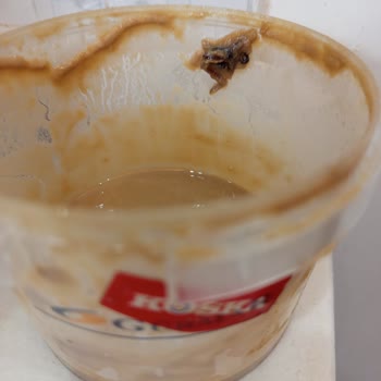 Koska Tahininde Yabancı Madde Bulunması Ve Hijyen İhmaline İtiraz