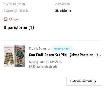 Kargo Gecikmesi Ve İptal İmkânsızlığı