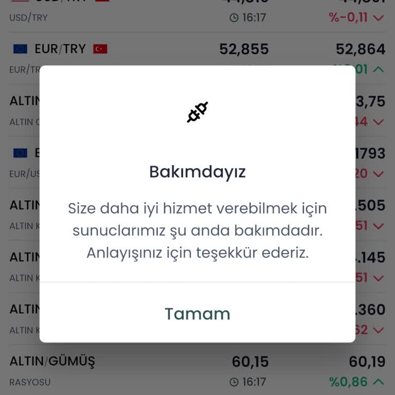 Bakım Çalışması Nedeniyle İşlem Yapamama Ve Fırsat Kaybı