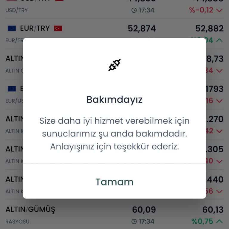 Bakım Çalışması Nedeniyle İşlem Yapamama Ve Fırsat Kaybı