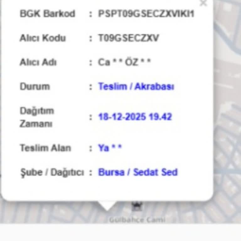 Teslim Edilmediği Görünen Kargo İçin İnceleme Ve Yeniden Gönderim Talebi